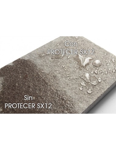 PROTECER SX 12 - 5 lt